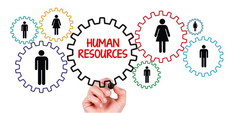 Human resources: people as cogs