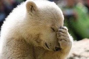 Facepalm